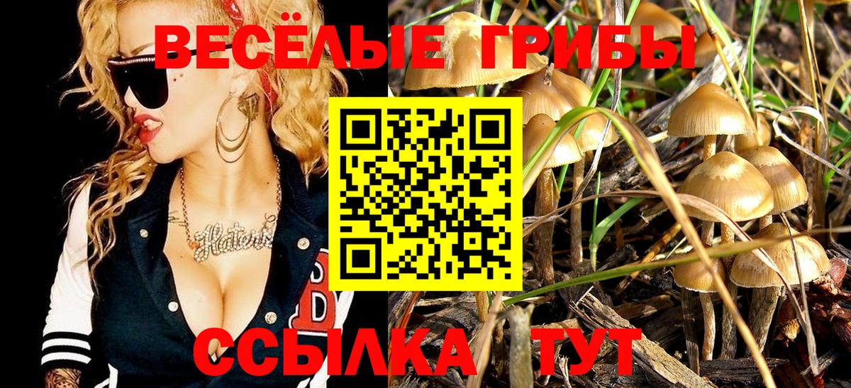магазин продажи   Псилоцибиновые грибы мухоморы  Вход с VPN  Новотроицк 